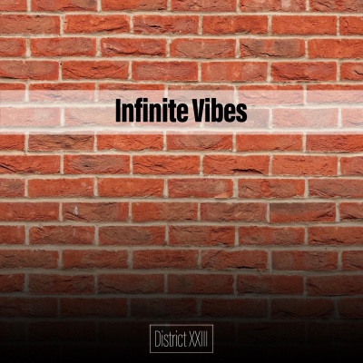 Infinite Vibes District XXIII