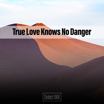 True Love Knows No Danger District XXIII