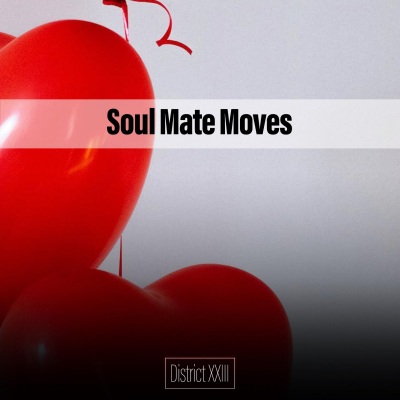 Soul Mate Moves District XXIII