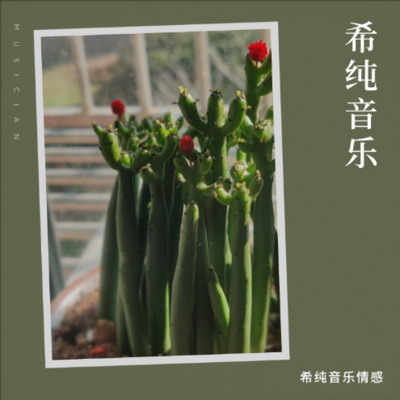 希纯小筑 - 桃花运旺的女人，大多有这些共性