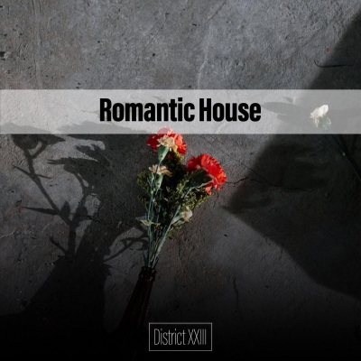 Romantic House District XXIII