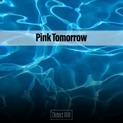 Pink Tomorrow District XXIII