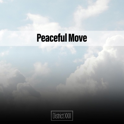 Peaceful Move District XXIII