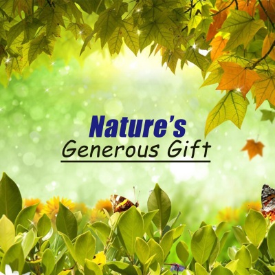 Nature's Generous Gift