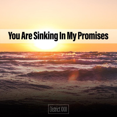 You Are Sinking In My Promises District XXIII