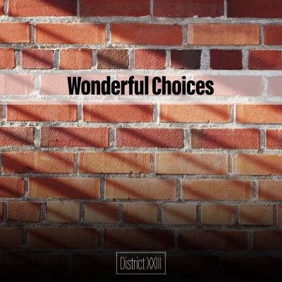 Wonderful Choices District XXIII