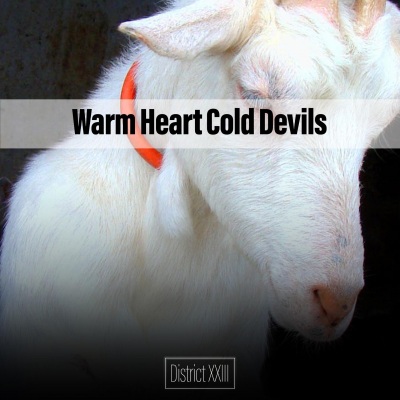 Warm Heart Cold Devils District XXIII