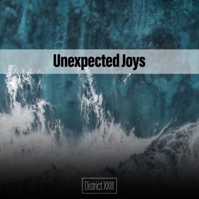 Unexpected Joys District XXIII