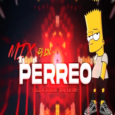 Mix PERREO LO MEJOR DE 2022