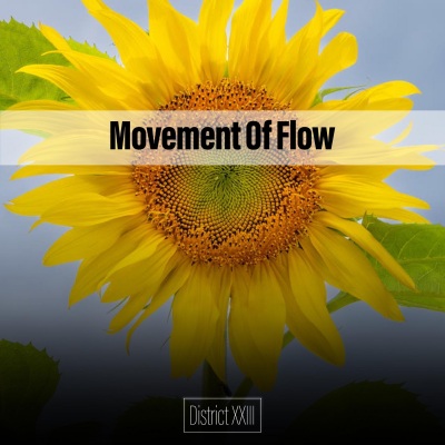 Movement Of Flow District XXIII