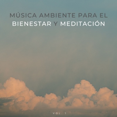 Música Ambiente Para El Bienestar Y Meditación Vol. 1