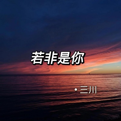 若非是你 (DJ版)