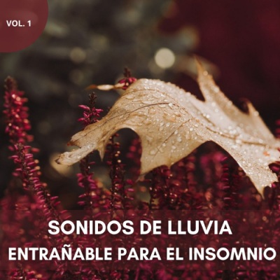 Sonidos De Lluvia Entrañable Para El Insomnio Vol. 1