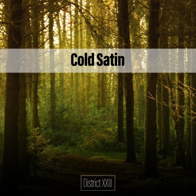 Cold Satin District XXIII