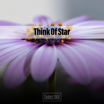 Think Of Star District XXIII