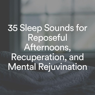 35 Sleep Sounds for Reposeful Afternoons, Recuperation, and Mental Rejuvination