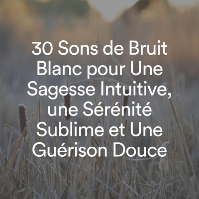 30 Sons de Bruit Blanc pour Une Sagesse Intuitive, une Sérénité Sublime et Une Guérison Douce