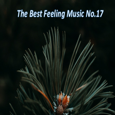 The Best Feeling Music No.17