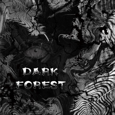 Dark Forest (黑暗森林)