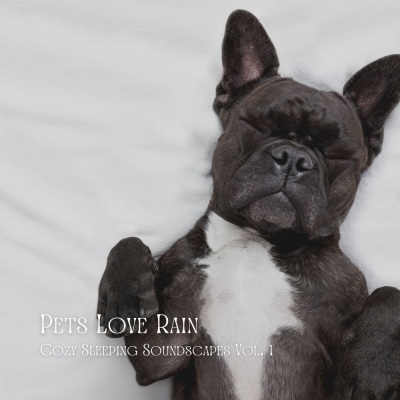 Pets Love Rain: Cozy Sleeping Soundscapes Vol. 1