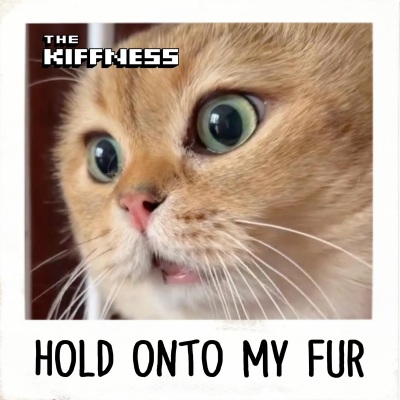 The Kiffness - Hold Onto My Fur