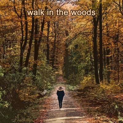 Walk in the Woods