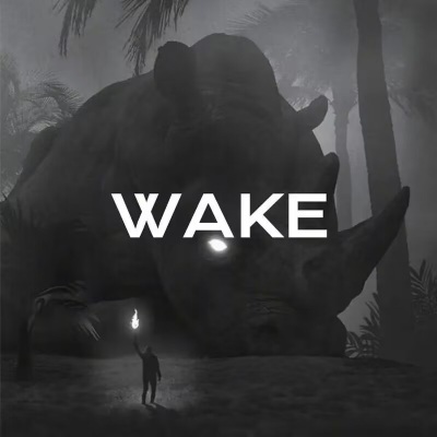 Wake (Slow Down)