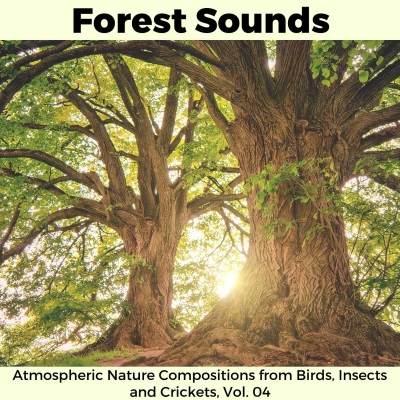 Forest Sounds - Atmospheric Nature Compositions from Birds, Insects and Crickets, Vol. 04