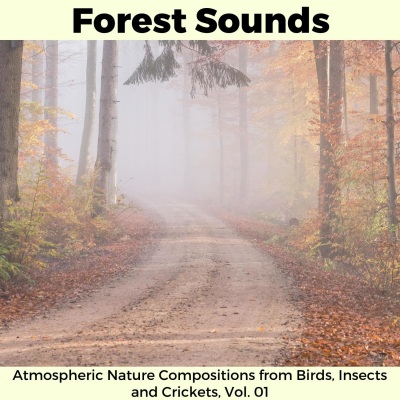 Forest Sounds - Atmospheric Nature Compositions from Birds, Insects and Crickets, Vol. 01