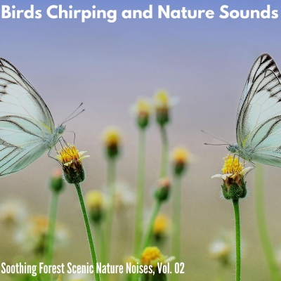 Birds Chirping and Nature Sounds - Soothing Forest Scenic Nature Noises, Vol. 02