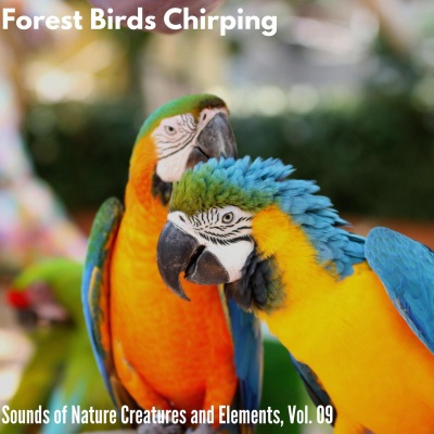 Forest Birds Chirping - Sounds of Nature Creatures and Elements, Vol. 09