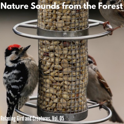 Nature Sounds from the Forest - Relaxing Bird and Creatures, Vol. 05