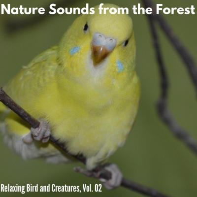 Nature Sounds from the Forest - Relaxing Bird and Creatures, Vol. 02