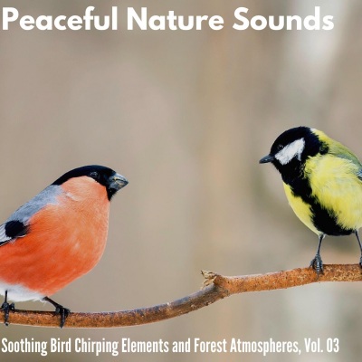 Peaceful Nature Sounds - Soothing Bird Chirping Elements and Forest Atmospheres, Vol. 03