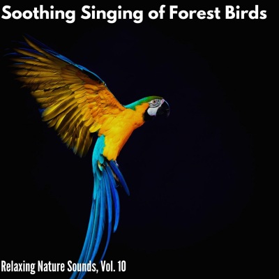 Soothing Singing of Forest Birds - Relaxing Nature Sounds, Vol. 10