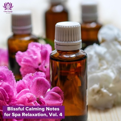 Blissful Calming Notes for Spa Relaxation, Vol. 4