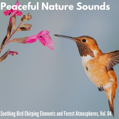 Peaceful Nature Sounds - Soothing Bird Chirping Elements and Forest Atmospheres, Vol. 04