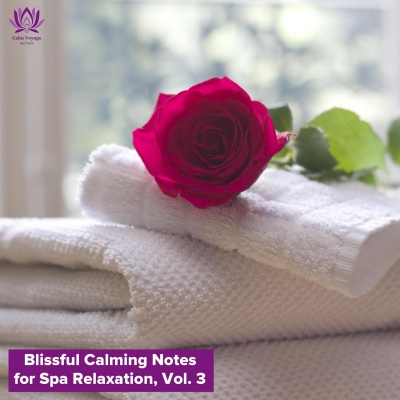 Blissful Calming Notes for Spa Relaxation, Vol. 3