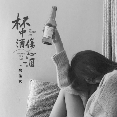 杯中酒伤心泪 (DJ沈念版)