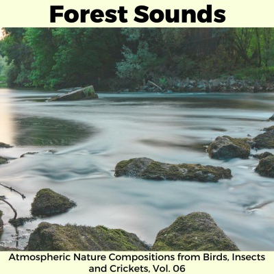 Forest Sounds - Atmospheric Nature Compositions from Birds, Insects and Crickets, Vol. 06