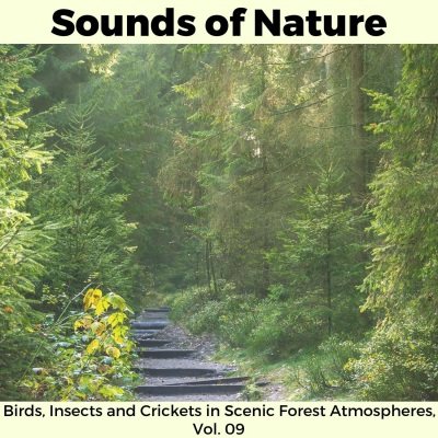 Sounds of Nature - Birds, Insects and Crickets in Scenic Forest Atmospheres, Vol. 09