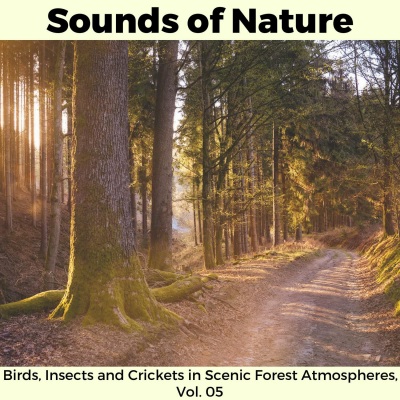 Sounds of Nature - Birds, Insects and Crickets in Scenic Forest Atmospheres, Vol. 05