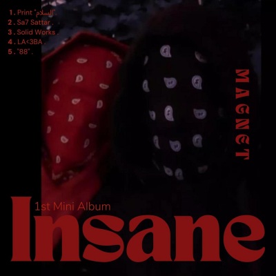 INSANE (Explicit)