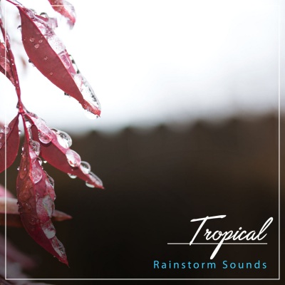 #14 Tropical Rainstorm Sounds for Relaxation and Ambience