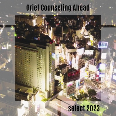 Grief Counseling Ahead Select 2023