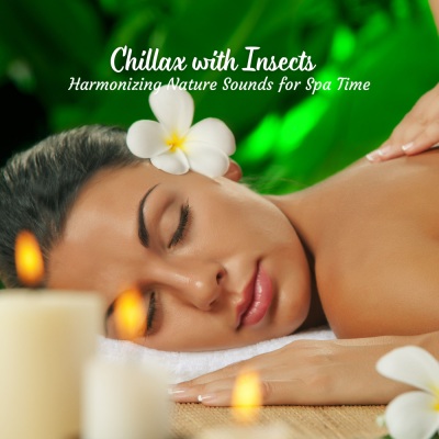 Chillax with Insects: Harmonizing Nature Sounds for Spa Time