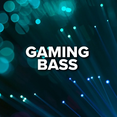 Gaming Bass (Explicit)