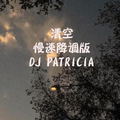 清空 (Patricia DJ慢速降调版)