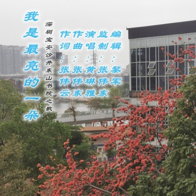 张伟东 - 我是最亮的一朵