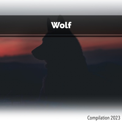 Wolf Compilation 2023